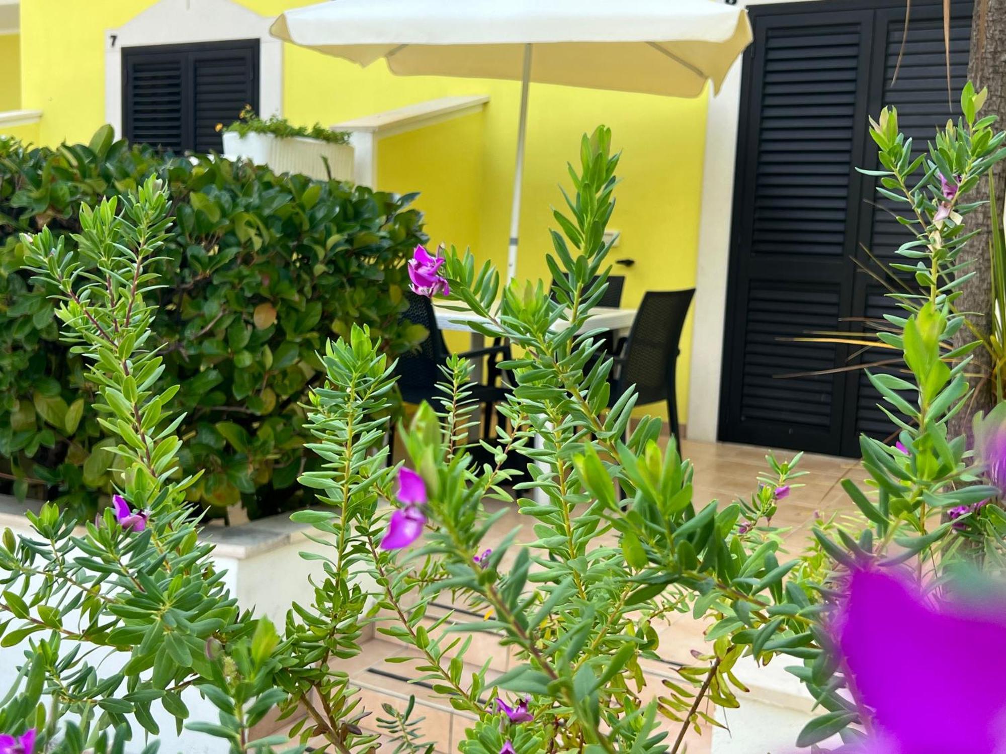 Argeste Club Vacanze Вьесте Экстерьер фото